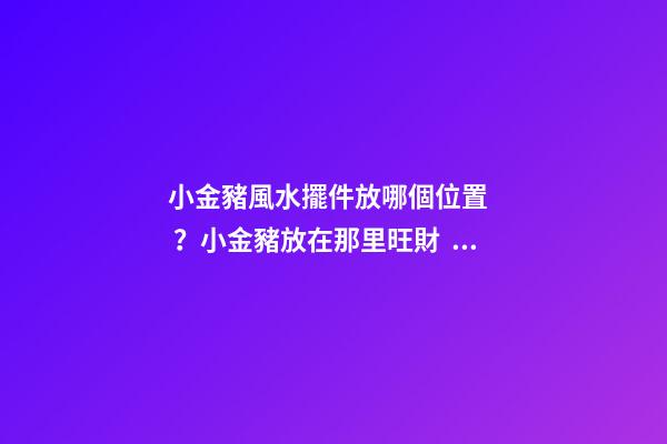 小金豬風水擺件放哪個位置？小金豬放在那里旺財？